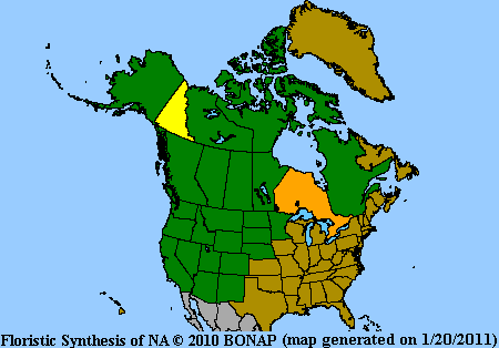 Antennaria Range Map